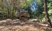 Tour Wandern Brunate - Boucle Brunate - Monte Piatto  - Brunate - Photo 20