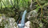 Trail On foot Serra Sant'Abbondio - IT-232 - Photo 4