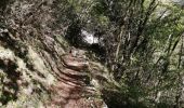 Trail Walking Courmes - bramafan cipieres - Photo 1