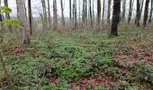 Tour Wandern Nivelles - Marche ADEPS école ste Thérèse Nivelles 10 km - Photo 4