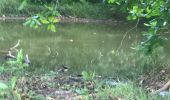 Tour Wandern Sainte-Anne - Belle mare St Anne  - Photo 2