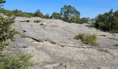 Trail Walking Belgentier - Pas de Belgentier  - Photo 12