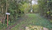 Trail Walking Amponville - Amponville - Dolmen dit la Pierre Larmoire - Photo 9