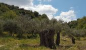 Tocht Stappen Κοινότητα Μορονίου - Balade à Panagia (Rother n°45) - Photo 5