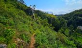 Tour Wandern Ferrières - Balade à Vieuxville - Photo 8