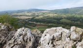 Tocht Stappen Solutré-Pouilly - La roche de Solutré  - Photo 1