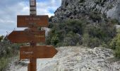 Trail Walking Duranus - L'Engarvin - cime de Roccasierra  - Photo 5