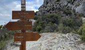 Tocht Stappen Duranus - L'Engarvin - cime de Roccasierra  - Photo 5