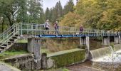 Percorso Marcia Houffalize - TOUR LAC DE NISRAMONT - Photo 4