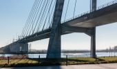 Tocht Te voet Kampen - WNW IJsseldelta -Kampereiland - gele route - Photo 10