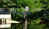 Tour Wandern Hohenfels - GrWandARd 36: Grande-Mormont het fraaiste van de Oostelijke Ourthe - Photo 5