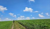 Tour Wandern Bauschleiden - 2023-06-19_14h57m44_eislek-pad-boulaide-1 - Photo 2