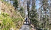 Trail Walking Bad Wildbad - Baumwipfelpfad et Wildline à Bad Wildbad dans le Schwarzwald - Photo 1