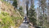 Tocht Stappen Bad Wildbad - Baumwipfelpfad et Wildline à Bad Wildbad dans le Schwarzwald - Photo 1