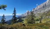 Tour Wandern Servoz - lac vert, pormenaz, col  d'anterne - Photo 14