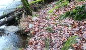 Tocht Stappen La Roche-en-Ardenne - Maboge  - Photo 14