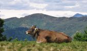 Percorso A piedi Capriasca - Cattle Trail - Photo 1