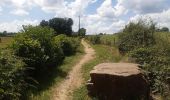 Tour Wandern Theux - jehanster . croix du petit Jean . vervifontaine . foyr . surister . jehanster  - Photo 5