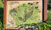 Tour Wandern Le Lorrain - Boucle Morne Jacob - Photo 6