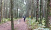 Trail Walking Houffalize - Houffalize 260622 - Photo 16