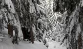 Excursión Raquetas de nieve Modane - Loutraz Amodon - Photo 2