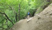 Trail Walking Villars-Colmars - Chasse - Photo 8