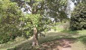 Randonnée Marche Petit-Couronne - Petit-Couronne - Ville et forêt - Vb -Inversé - Photo 2