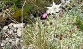 Percorso Marcia Marebbe - J6 La villa refuge Gardenacia - Photo 8