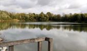 Randonnée Marche Gembloux - Promenade du bois de Grand-Leez et son étang  - Photo 6