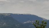 Trail Walking Sisteron - SISTERON.   Le Mollard . Col S Pierre o n  - Photo 9