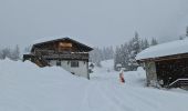 Trail Snowshoes Pralognan-la-Vanoise - Pralognan Les Fontanettes - Photo 3