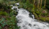 Tour Wandern Le Ménil - Boucle au départ des chalets de la 