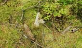 Randonnée Marche Herbeumont - Mon lit dans l'arbre - Castors - Photo 12