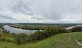 Trail Walking Heuqueville - 20230810-Heuqueville Jourrnée - Photo 11