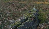 Trail Walking Creissels - au dessus du viaduc Millau  - Photo 3