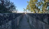 Tour Wandern Vers-Pont-du-Gard - Autour du Pont du Gard - Photo 10