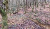 Trail Walking Camors - PR_56_Camors_BA_02_L-Eau_Circuit1b_20230218 - Photo 6