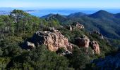 Tour Wandern Mandelieu-la-Napoule - Mandelieu - Chapelle St Jean - Baisse Violette - Suvières - Marsaou - Col des 3 Termes - Oeufs de Bouc - Photo 4