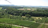 Tour Zu Fuß Ludwigsburg - DE-SAV Rotes Kreuz, Lemberg-Poppenweiler - Photo 2