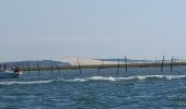 Tocht Motorboot Arcachon - Tour de l'île aux Oiseaux - Photo 12