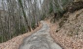 Trail Walking Saint-Ferréol - Presque le château de Montaigu - Photo 2