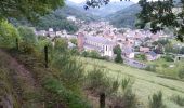 Excursión Bici de montaña Orbey - Les Balcons d'Orbey (version courte) - Photo 1