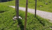 Excursión Senderismo La Clusaz - le Crêt du lout - Photo 1