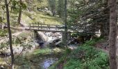 Trail Walking Saint-Martin-Vésubie - Tour de la Vallée du Boréon  - Photo 5