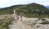 Tour Wandern Borée - Col des Boutières- Sommet du Mezenc - Photo 1