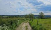 Trail Walking Blegny - GR5 - BLEGNY -> FRAIPONT  - Photo 9