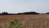 Tour Wandern Médréac - GR_37_CA_35_Medreac_Montauban-Bretagne_20220717 - Photo 1