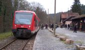 Tour Zu Fuß Welzheim - Geologischer Pfad - Photo 2