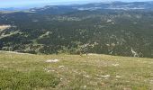 Tour Wandern Saint-Agnan-en-Vercors - Grand Veymont face ouest  - Photo 11