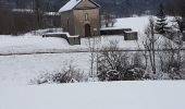 Tour Schneeschuhwandern Belleydoux - Belleydoux-ste Anne - Photo 1